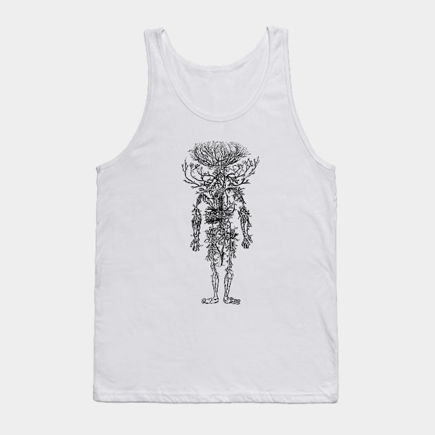 Human Anatomy The Arteries Tank Top by AntiqueImages